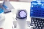 How Magnetic Beads Are Enhancing Gene Editing Research
