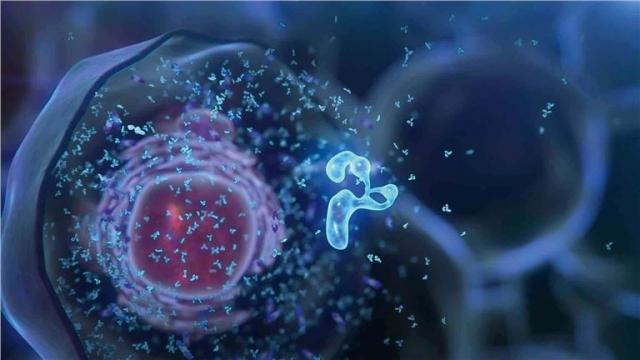 Reliable Recombinant Protein Expression Services